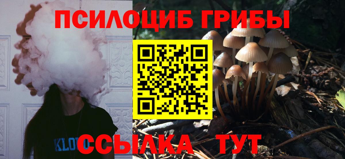Галлюциногенные грибы MAGIC MUSHROOMS  Псилоцибиновые грибы Psilocybine cubensis  Вход с VPN  Новоалександровск 